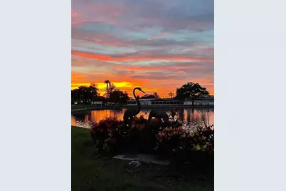 1100 Belcher Road S #727, Largo, FL 33771 - Photo 47
