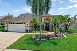 6310 Turtle Creek Blvd, Tampa, FL 33625 - Photo 1