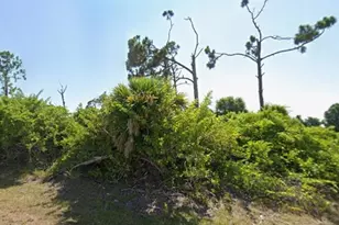 145 Green Pine Park, Rotonda West, FL 33947 - Photo 3