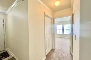 18469 Bridle Club Dr, Tampa, FL 33647 - Photo 57