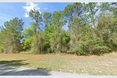1495 E Citrus Springs Boulevard, Citrus Springs, FL 34434 - Photo 3