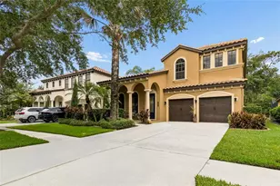 20338 Chestnut Grove Dr, Tampa, FL 33647 - Photo 3