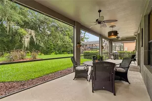 20338 Chestnut Grove Dr, Tampa, FL 33647 - Photo 49