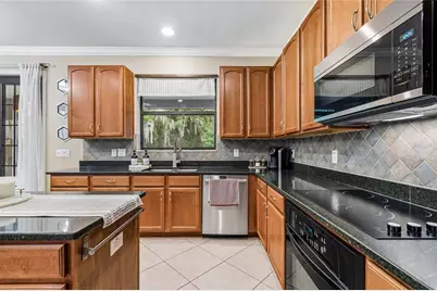 20338 Chestnut Grove Drive, Tampa, FL 33647 - Photo 23