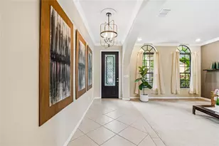 20338 Chestnut Grove Dr, Tampa, FL 33647 - Photo 9
