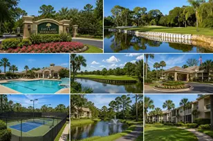 115 Lakeview Pl, Oldsmar, FL 34677 - Photo 33