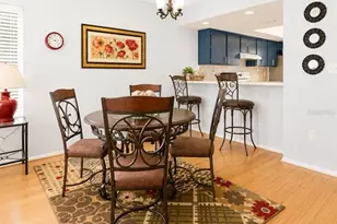 115 Lakeview Pl, Oldsmar, FL 34677 - Photo 13