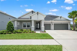 33875 Castaway Loop, Wesley Chapel, FL 33543 - Photo 3
