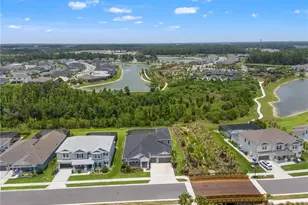 33875 Castaway Loop, Wesley Chapel, FL 33543 - Photo 99