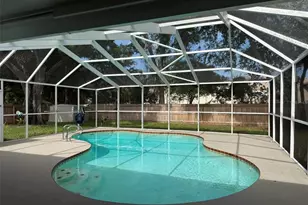 113 Kendale Dr, Safety Harbor, FL 34695 - Photo 25
