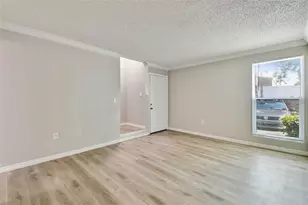 726 Haven Pl, Tarpon Springs, FL 34689 - Photo 11