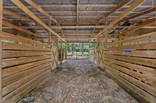 346 Ranch Rd, Tarpon Springs, FL 34688 - Photo 51