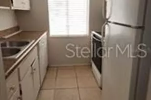 5507 Pokeweed Ct, Tampa, FL 33617 - Photo 5