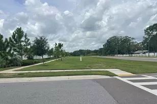 3943 Almond Brk Blvd, Land O Lakes, FL 34638 - Photo 47
