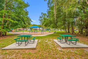 13953 Jacobson Dr, Odessa, FL 33556 - Photo 41