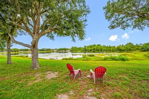 13953 Jacobson Dr, Odessa, FL 33556 - Photo 33