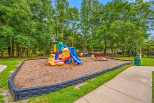 13953 Jacobson Dr, Odessa, FL 33556 - Photo 39