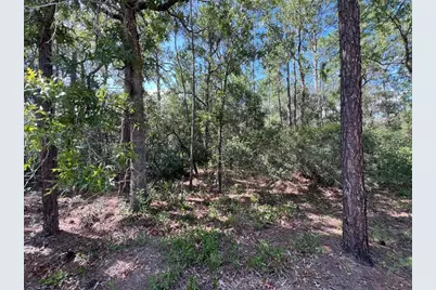 Sw 157th Lane, Dunnellon, FL 34432 - Photo 5