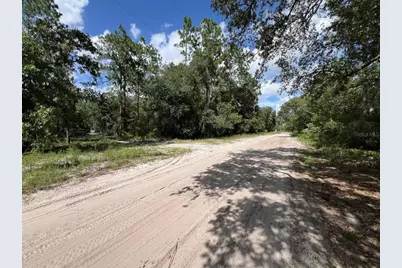Sw 157th Lane, Dunnellon, FL 34432 - Photo 11