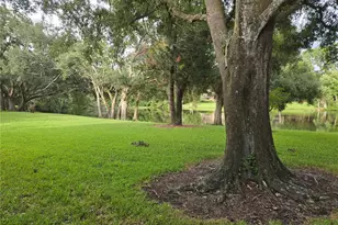 11805 Skylake Pl, Tampa, FL 33617 - Photo 33