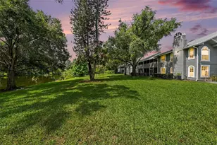 11805 Skylake Pl, Tampa, FL 33617 - Photo 21