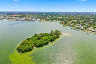 111 Shore Dr, Dunedin, FL 34698 - Photo 21