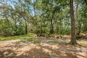 Coqui Ct, Odessa, FL 33556 - Photo 17