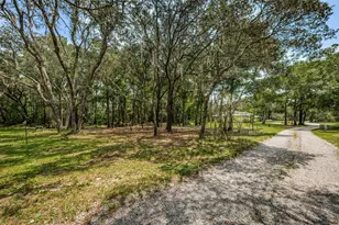 Coqui Ct, Odessa, FL 33556 - Photo 13