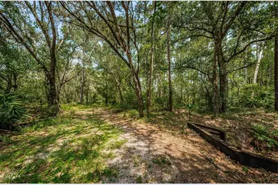 Coqui Court, Odessa, FL 33556 - Photo 19