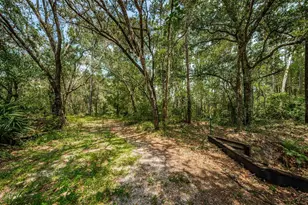 Coqui Ct, Odessa, FL 33556 - Photo 19
