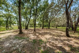 Coqui Ct, Odessa, FL 33556 - Photo 23