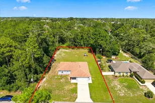 12327 Millington Ave, Weeki Wachee, FL 34614 - Photo 3
