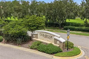 32306 Garden Alcove Loop, Wesley Chapel, FL 33545 - Photo 51