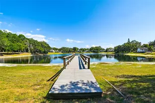 2781 Valencia Ln W, Palm Harbor, FL 34684 - Photo 61
