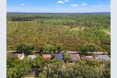 9307 Poplar Creek Court, Tampa, FL 33647 - Photo 67