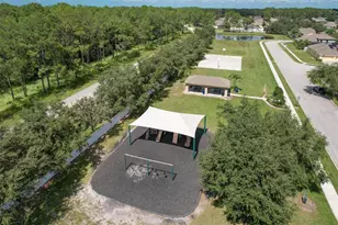 4752 Patagonia Pl, Land O Lakes, FL 34638 - Photo 67