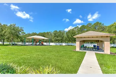 4752 Patagonia Place, Land O Lakes, FL 34638 - Photo 85
