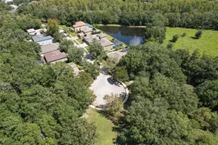 4752 Patagonia Pl, Land O Lakes, FL 34638 - Photo 61