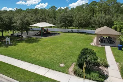 4752 Patagonia Place, Land O Lakes, FL 34638 - Photo 69