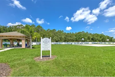4752 Patagonia Place, Land O Lakes, FL 34638 - Photo 87