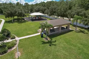 4752 Patagonia Pl, Land O Lakes, FL 34638 - Photo 71
