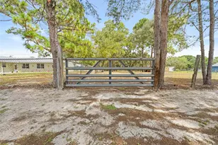 16517 Diplomat Dr, Spring Hill, FL 34610 - Photo 59
