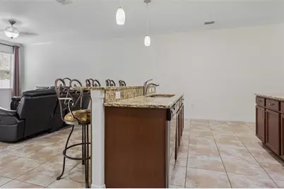 20220 Pond Apple Lane, Tampa, FL 33647 - Photo 5