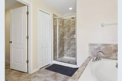 20220 Pond Apple Lane, Tampa, FL 33647 - Photo 23