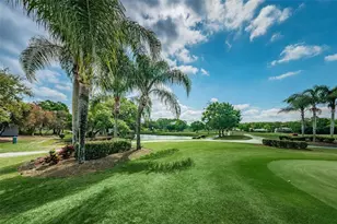222 Caryl Way, Oldsmar, FL 34677 - Photo 55
