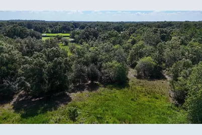 Red Hawk Lane, Plant City, FL 33565 - Photo 7
