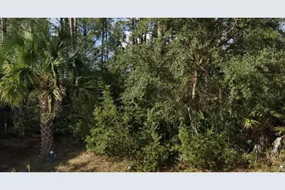 16 Sleeping Beauty Place, Palm Coast, FL 32164 - Photo 3
