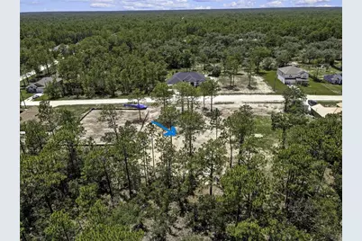 16116 Medrick Road, Brooksville, FL 34614 - Photo 11