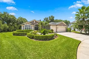6121 Chene Ct, Lutz, FL 33558 - Photo 3
