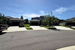 345 Villa Corte Dr, Lutz, FL 33549 - Photo 61